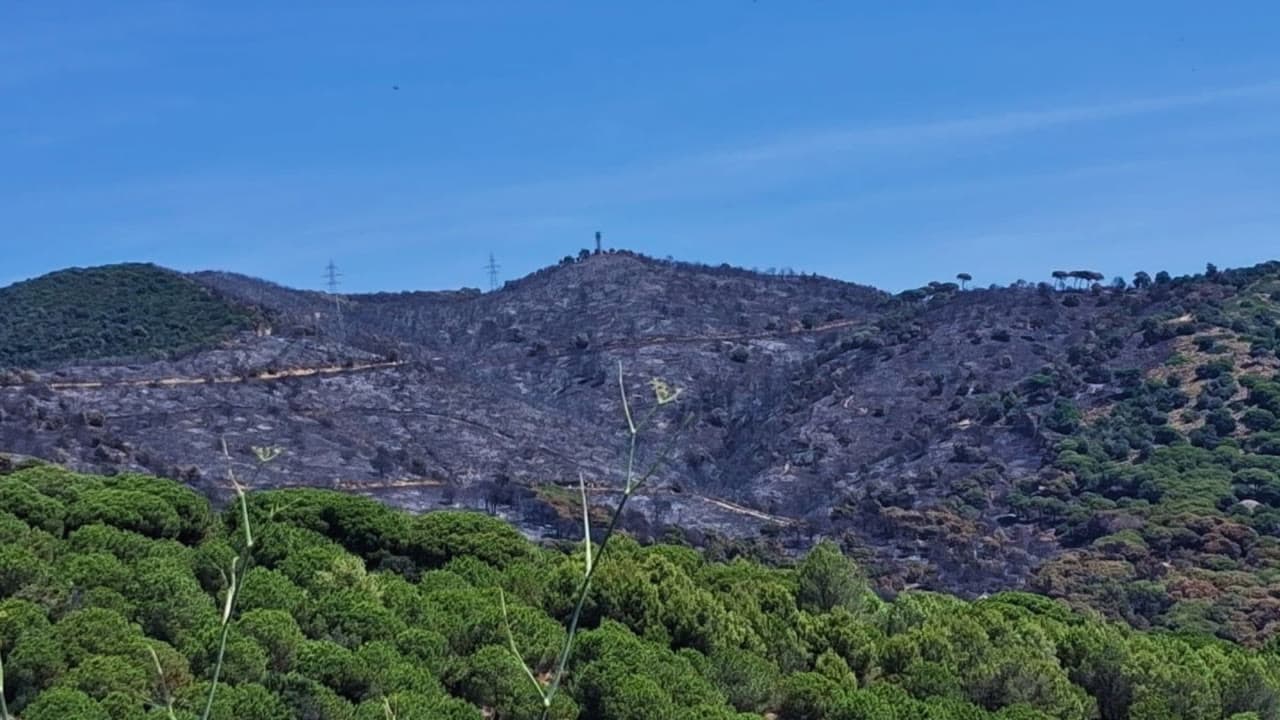 L'Ajuntament de Tiana es personarà contra el detingut per l'incendi, que continua sota control