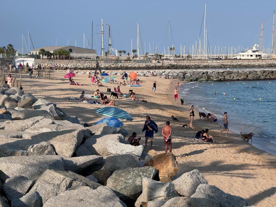 Els gossos també tanquen temporada a la platja de Ponent