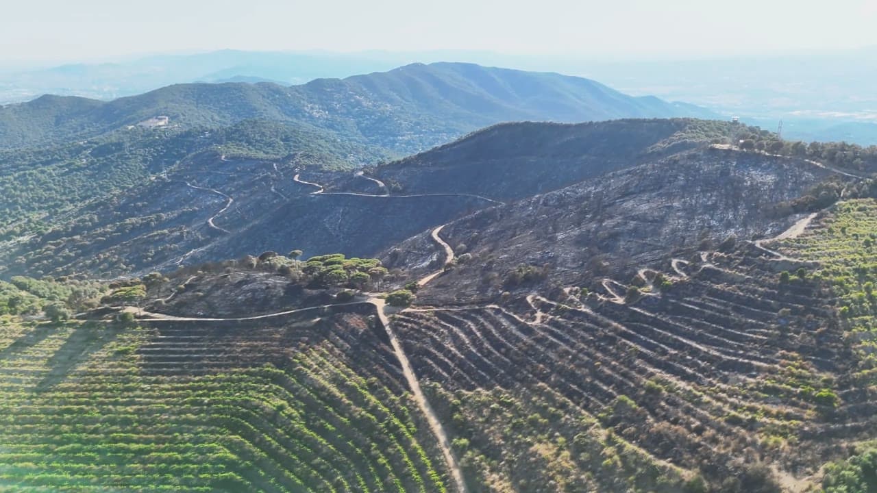 El detingut per l’incendi de Tiana ingressa en un centre de salut mental