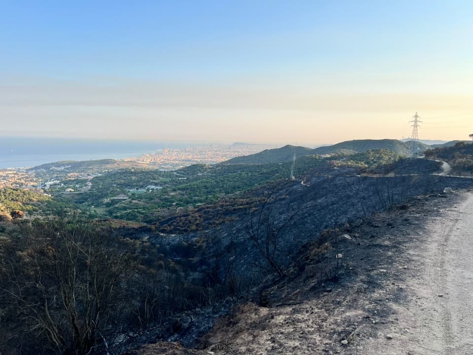 Incendi de Tiana: quinze dies després, 53 hectàrees calcinades