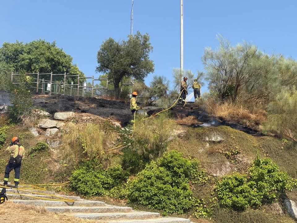 Un incendi en un parc de Mataró crema 500 metres quadrats de vegetació