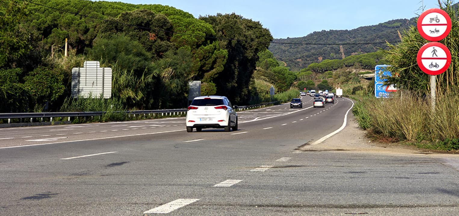 Front comú contra un punt negre d’accidents amb senglars a l’Alt Maresme