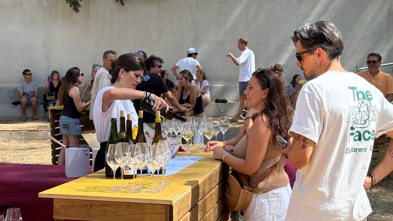 Alella brinda per la vinya, el territori i una tradició mil·lenària que forma part de la seva identitat